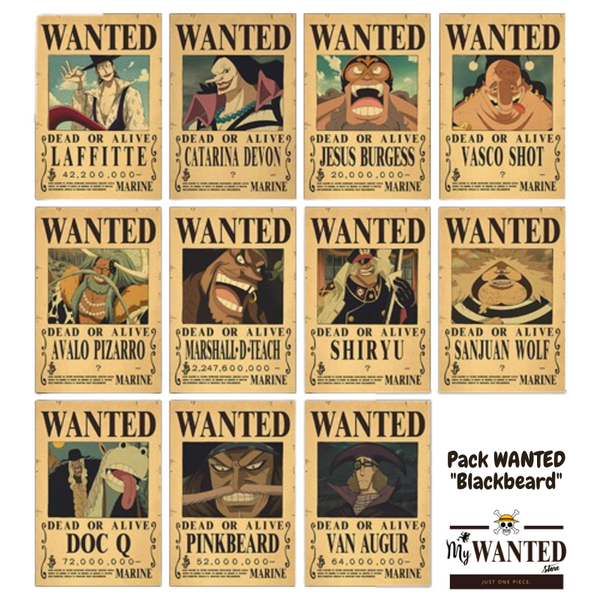 PACK WANTED - Équipage de "Barbe Noire" (11)