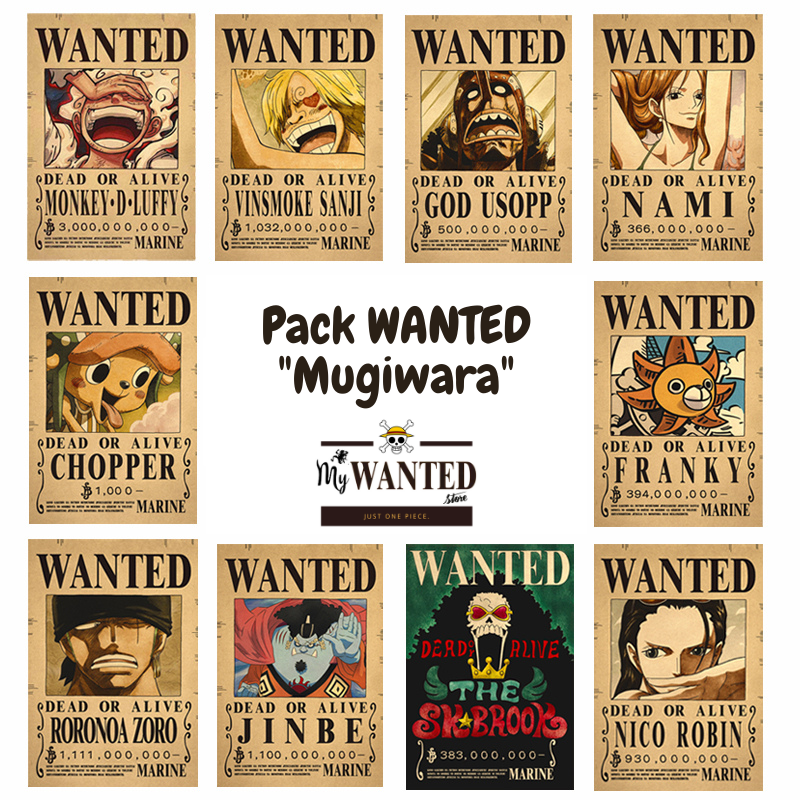 PACK WANTED - Mugiwara | Post-Wano (10) – MyWantedStore