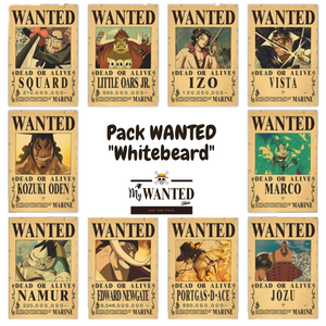 PACK WANTED - Équipage de "Barbe Blanche" (10)