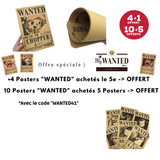 WANTED - Franky "Sunny"  [One Piece]