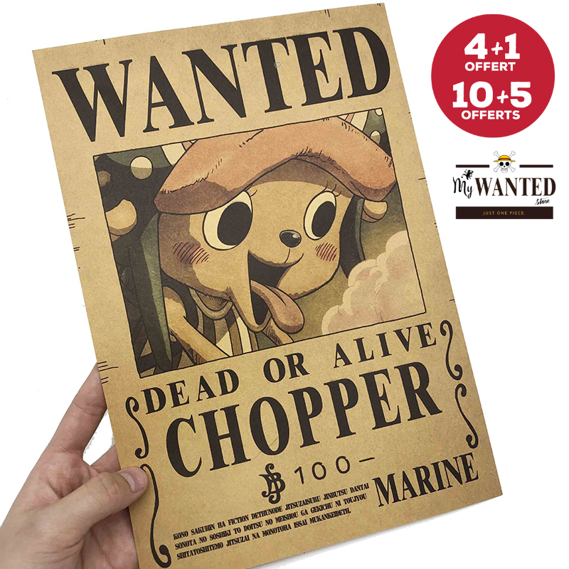 Poster avis de recherche Brook One Piece